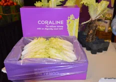 Coraline is a chicory variety that is less bitter and more smooth than Belgian endive. Coraline is mainly used in foodservice, but will become more widely available at retail level.